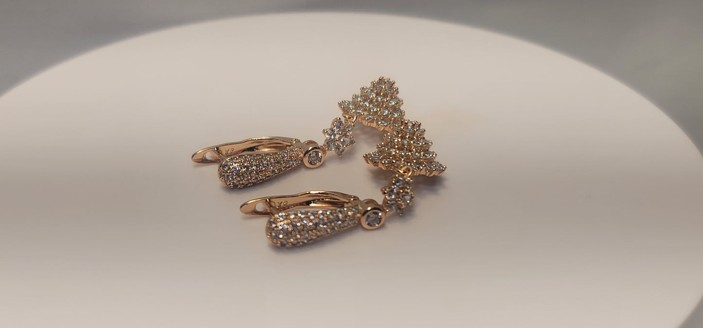 Elegant Fashion Earring with unique Design.