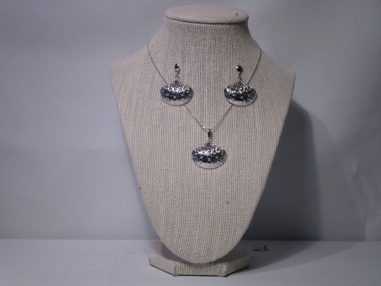 Silver Radiance Set